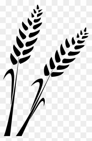 Wheat Silhouette Png Clipart