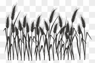 Wheat Field Png Black And White - Wheat Black And White Clipart