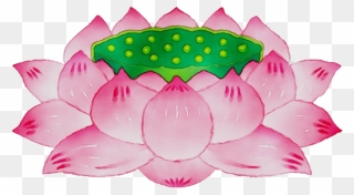 Pink Lotus Png Hd Image - Flat Lotus Vector Png Clipart