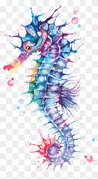 Seahorse Watercolor Clipart