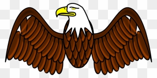 Transparent Eagle Wings Png - Easy Bald Eagle Clipart
