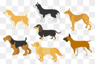 Border Collie Clipart Minimalist - 犬 横顔 イラスト - Png Download