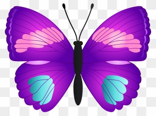 Clipart School Butterfly - Butterfly Clipart Transparent Background - Png Download
