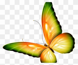 Orange And Green Butterfly Clipart