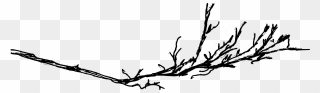 Branch Png - Tree Branches Png Sketch Clipart