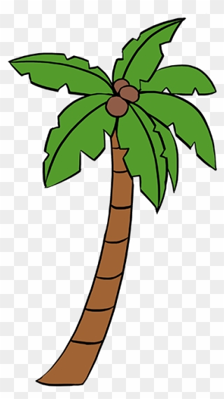 How To Draw Palm Tree - Cartoon Palm Tree Drawing Clipart