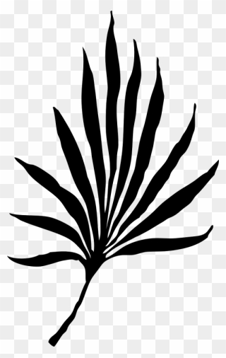 Palm Leaf Leaf Palmate - Palm Frond Clip Art - Png Download