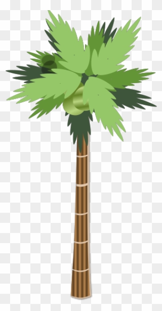 Palm Tree Svg Clip Arts - Palm Tree Clip Art - Png Download