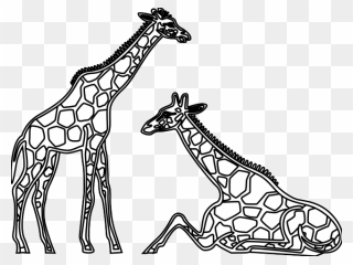 Giraffes Black And White Clip Art - Png Download