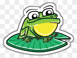 Image Of Frog Magnet Clipart