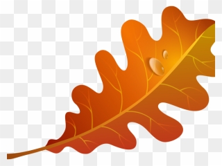 Autumn Leaf Clipart Transparent Background - Png Download