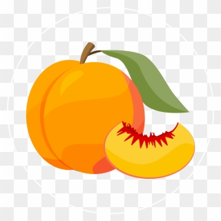 Peach-icon - Peach Icon Png Clipart
