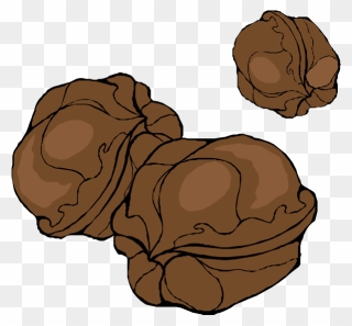 Walnuts - Cartoon Walnuts Clipart