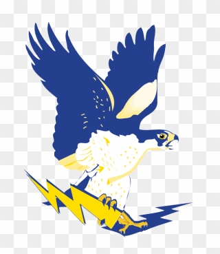 Falcons Channelview High School Clipart