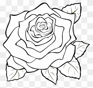 How To Of Rose - Rose Drawing Clipart