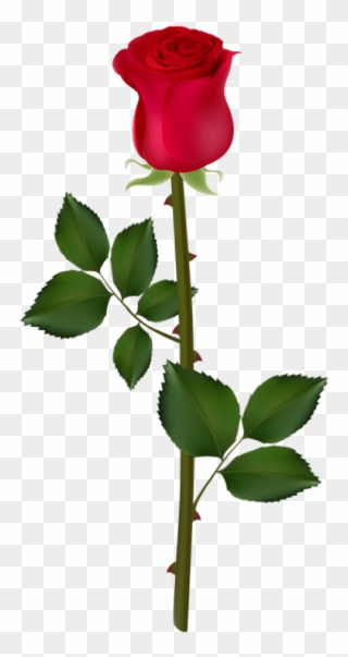 Rose And Thorn Clipart - Png Download