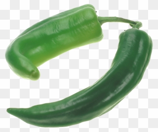 Green Clipart Chilli Pepper - Jalapeno Pepper Png Transparent Png