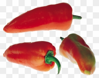 Download For Free Pepper Icon Png - Bell Pepper Clipart
