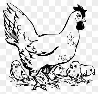 Hen And Chickens Clip Arts - Black And White Clip Art Of Chickens - Png Download