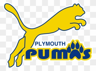 Puma Logo Clipart Pum - Plymouth Scholars Puma - Png Download