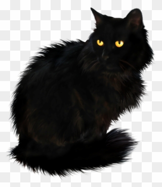 Persian Cat British Longhair Maine Coon Portable Network - British Longhair Cat Black Clipart