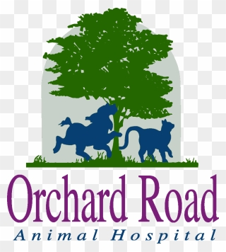 Orchard Road Animal Hospital - Tree Clipart