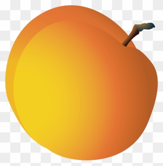 Grapefruit Pomelo Cartoon Transprent - Circle Clipart
