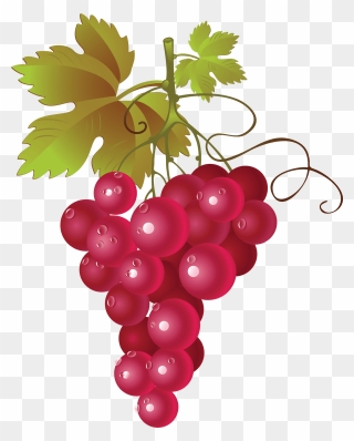 Grapevine Clipart Watercolor - Red Grapes Clipart - Png Download