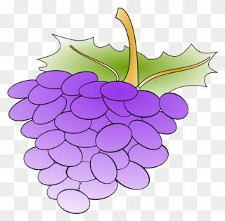 Grapes - Cartoon Grapes Clipart
