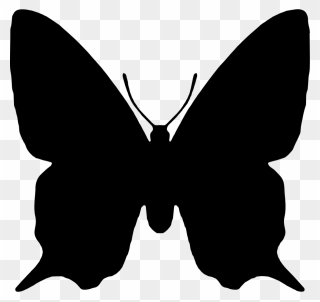 Butterfly Black And White Clipart Shape - Butterfly Shape Png Transparent Png