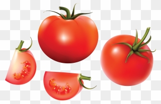 Tomato Soup Euclidean Vector Vegetable - Tomato Vector Clipart