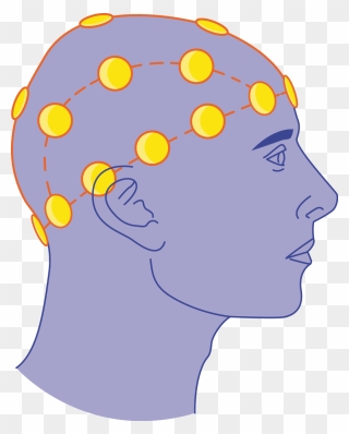 Electroencephalogram Clipart - Png Download