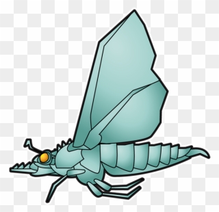 Fliez - Cartoon Clipart