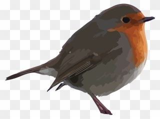 Free Bird Clipart - Robin Clipart - Png Download