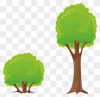 Tree Bush Clipart - Tree And Shrub Clipart - Png Download