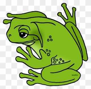 Georgia State Amphibian - Green Tree Frog Clipart - Png Download