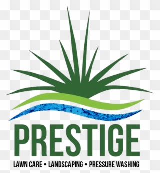 Prestige Lawn Care & Landscaping - Agave Clipart