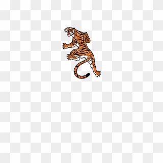Wild Tiger Attack Mascot - Illustration Clipart