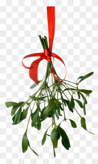 Mistletoe Png Clipart - Luke Bryan Merry Christmas Transparent Png