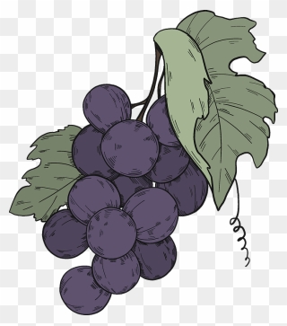Black Grapes With Leaves Clipart - Seedless Fruit - Png Download