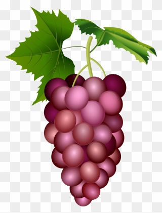 Red Grape Clipart - Png Download