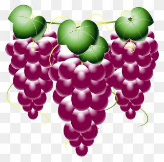 Grape Food Fruit Clipart - Seedless Fruit - Png Download