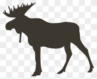 Moose Clipart
