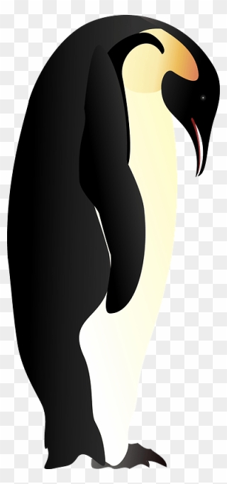 Penguin Looking Down Clipart - Cartoon - Png Download