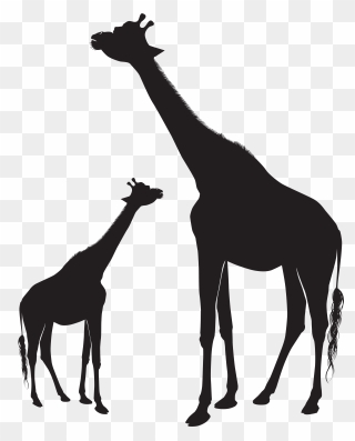 Giraffe Silhouette Animal Mammal Horse Clipart