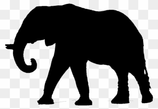 Elephantidae Dwarf Elephant Mammal Clip Art - Brontosaurus Compared To Elephant - Png Download