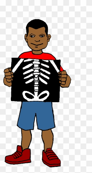 Free X - X Ray Clipart - Png Download