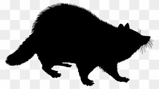 Racoon Sil - Geographic Distribution Of Baylisascaris Procyonis Clipart