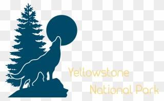 Yellow Stone National Park - Vector Pine Tree Png Clipart
