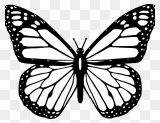 Beautiful Butterfly Clipart Black And White - Monarch Butterfly Coloring Pages - Png Download